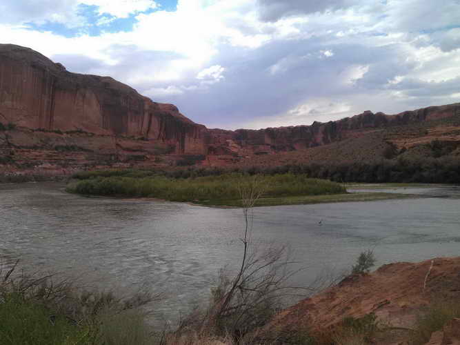 USA_2013-07-11 16-01-52_CELL_IMAG0221